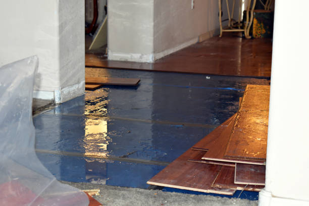 Professional Sewage Cleanup technician working in Hamill, SD
